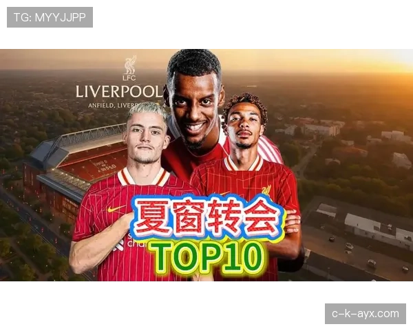 德甲夏窗开启，各俱乐部加速引援备战新赛季