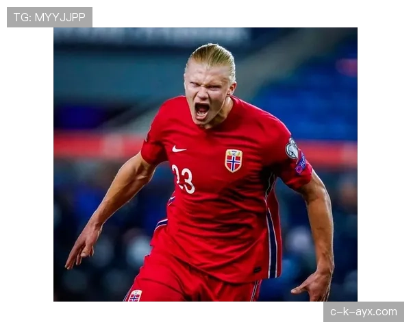 哈兰德进球效率解析 哈兰德进球效率解析