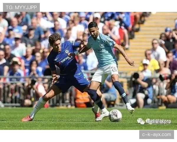 合理冲撞 vs 普通犯规：裁判如何界定“合法对抗”？